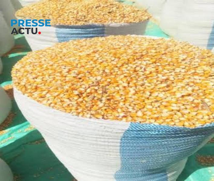 Deux sacs de maïs, dans un marché public à Kinshasa, capitale de la RDC.