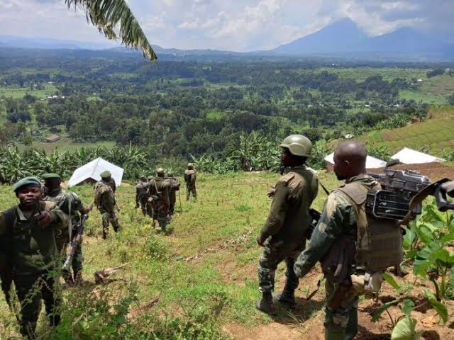 Les éléments des Forces armées de la République démocratique du Congo ( FARDC), dans la brousse. Image d'illustration.