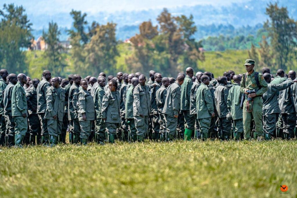 Les nouvelles recrues du groupe rebelle de l'AFC-M23.