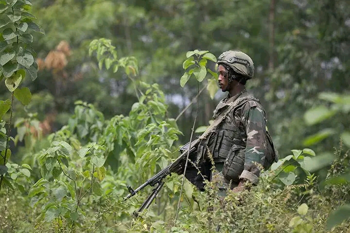 Affrontements FARDC-AFC/M23 : plus de sept morts et six blessés à Kamanyola