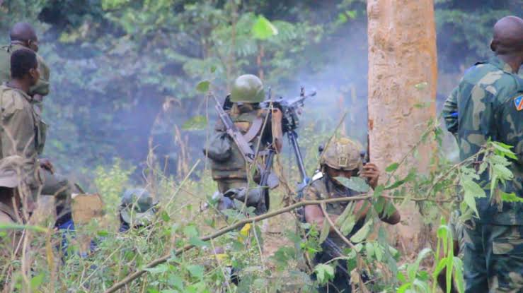 Accord de paix bafoué : reprise des affrontements entre AFC-M23 et FARDC dans la plaine de la Ruzizi