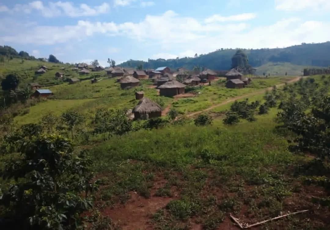 Photo d'illustration.