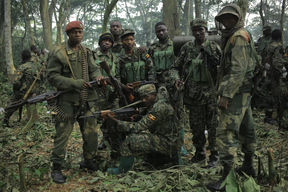 Ituri : les FARDC et l’UPDF intensifient les offensives contre les rebelles ADF à Mambasa