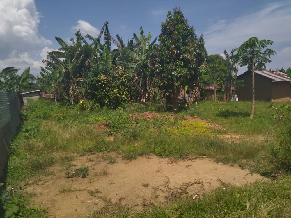 Nord-Kivu : le bilan de l’attaque des ADF à Mausa s’alourdit, plusieurs villages désertés