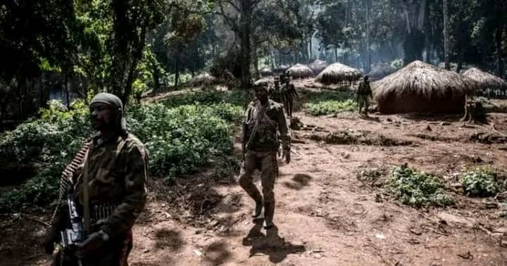 Ituri : près de 8 civils tués dans une attaque attribuée aux miliciens Chini ya Tuna, à Irumu