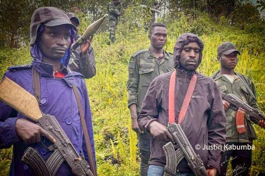 Nord et Sud Kivu : l’ONU dénonce de graves violations des droits humains impliquant l’AFC/M23 et des groupes Wazalendo