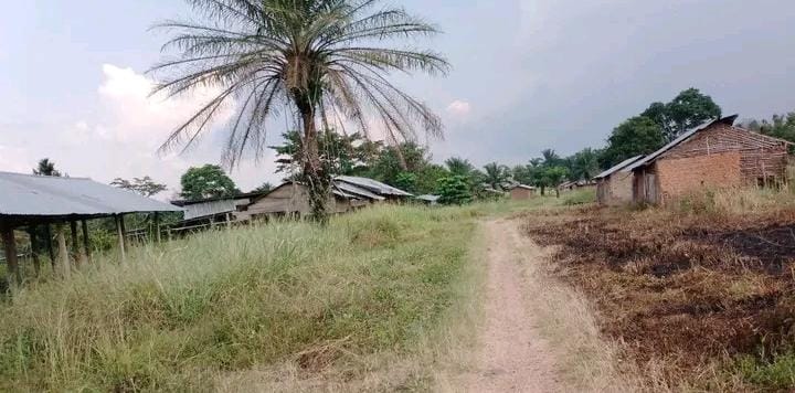 Une vue photo d'un village dans le territoire de Mambasa, dans la province de l'Ituri, au nord-est de la République démocratique du Congo (RDC).