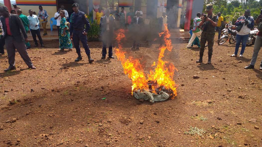 Renforcement de la lutte contre les stupéfiants : destruction massive de chanvre à Mangina