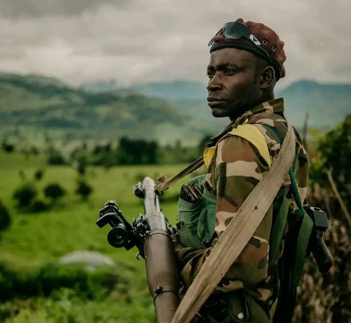 Masisi : Les Wazalendo reprennent trois villages à l’AFC/M23 près de Rubaya