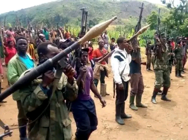 Les Wazalendo ( Photo d'illustration).