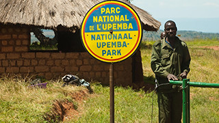 RDC : L’ICCN condamne avec fermeté l’attaque du Parc national de l’Upemba et renforce la sécurité