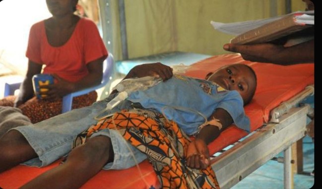 Sud-Kivu : 13 décès et 34 cas de choléra confirmés à Mwenga