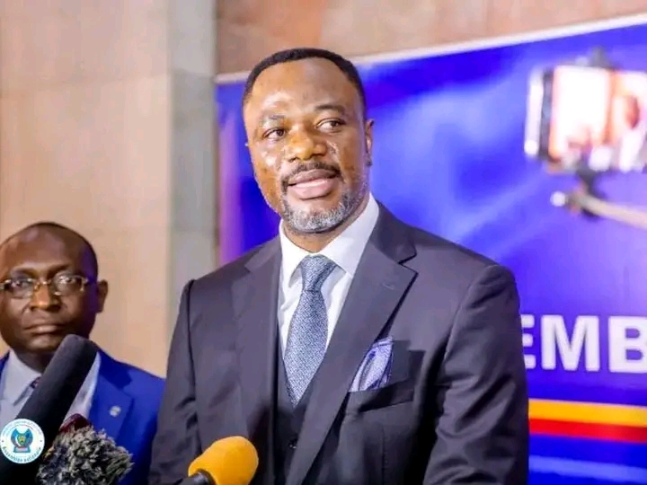 RDC-Assemblée nationale : Tony Mwaba dépose une proposition de loi sur l’organisation du référendum