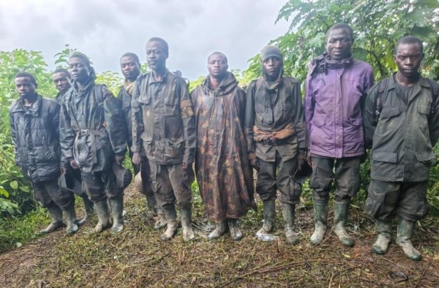 Sud-Kivu : 20 combattants du M23/AFC se rendent aux FARDC, dont  plusieurs armes récupérées à Mikenge