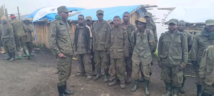 Les éléments de la coalition rebelle M23-AFC et du groupe armé Twirwaneho .