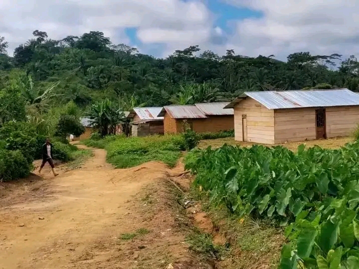 Illustration de Mambasa dans la province de l'Ituri
