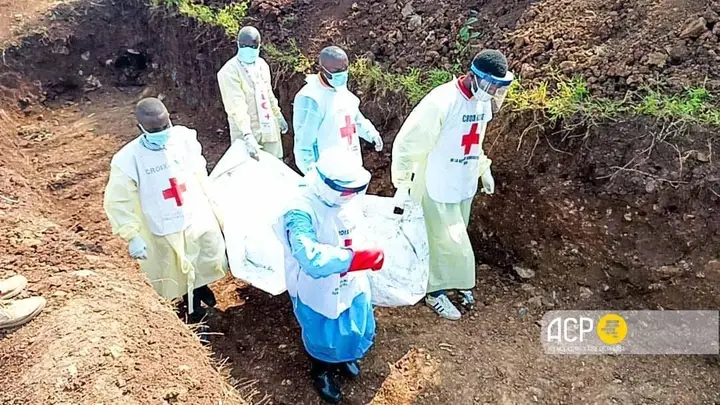 Ebola : plus de 110 décès enregistrés parmi 435 cas suspects dans l’Ituri et le Nord-Kivu