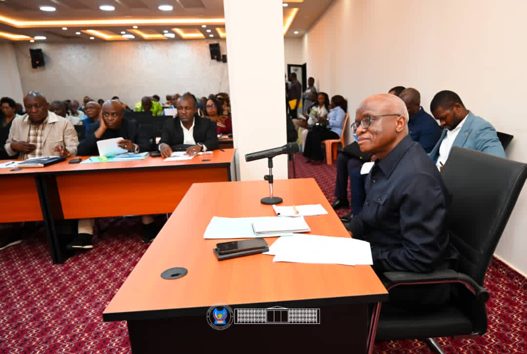 Lors de l'audition du  ministre de l’Industrie, Justin Kalumba Mwana, par la  Commission économique, financière et de contrôle budgétaire (ECOFIN) de l’Assemblée nationale