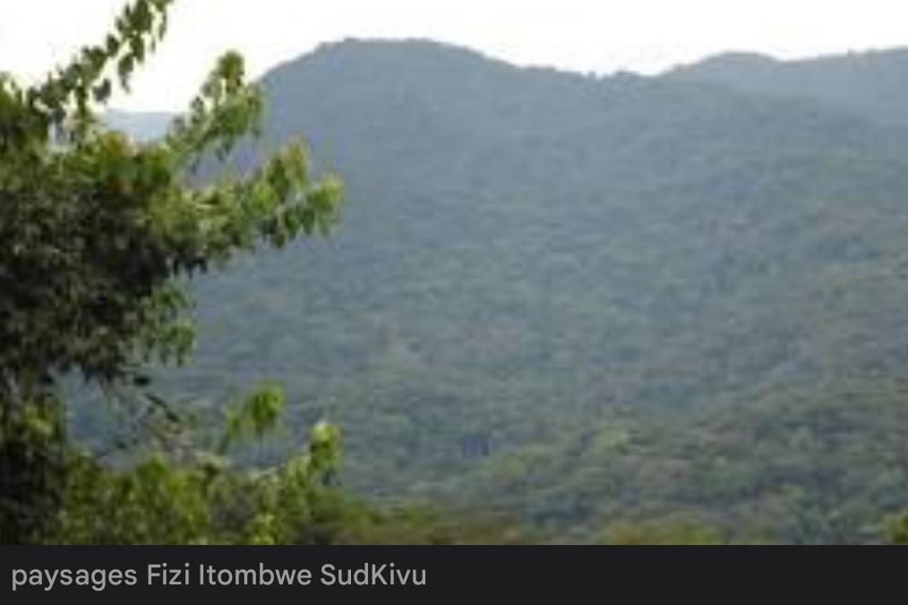 Sud-Kivu : de violents affrontements entre les FARDC et la coalition MRDP-Twirwaneho/AFC-M23 à Kalingi