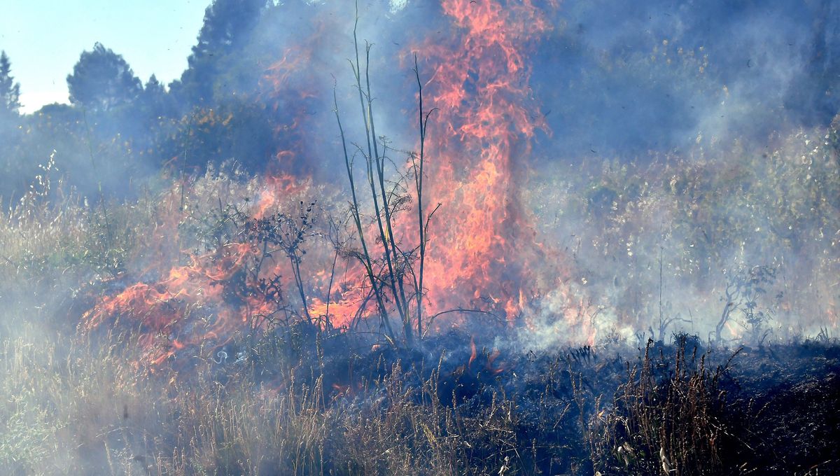 Kwilu : trois enfants mineurs meurent piégés dans un feu de brousse à Bagata