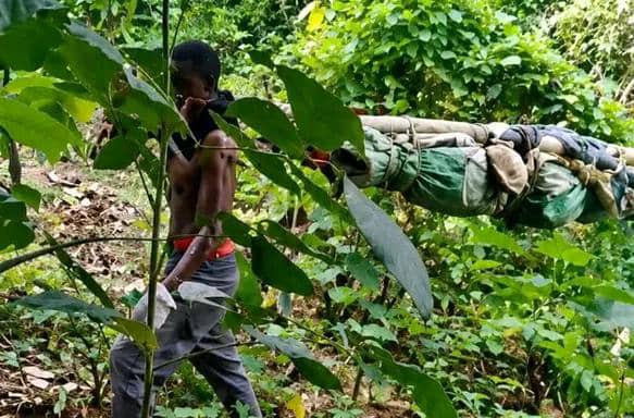 Nord-Kivu : plus de 30 civils tués en cinq jours dans des attaques attribuées aux ADF à Beni