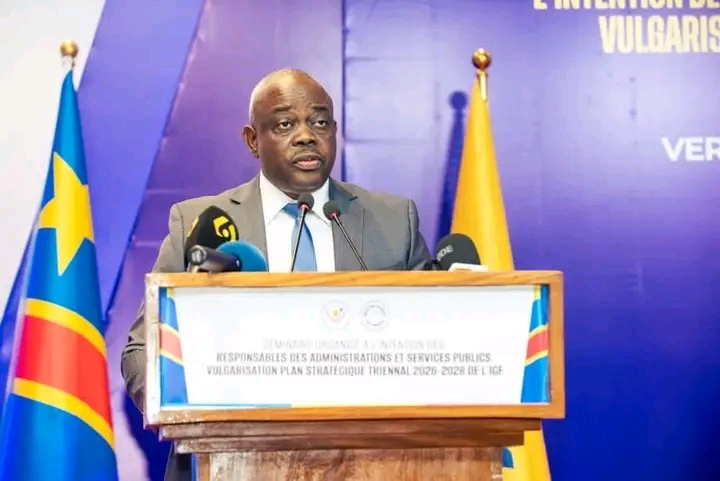 Emmanuel Tshibingu, Inspecteur général des finances-Chef de service adjoint.
