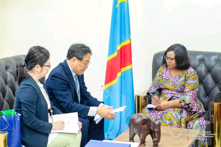 RDC-Japon : construction d’une tour à flux de près de 4 millions de dollars à Lokolama