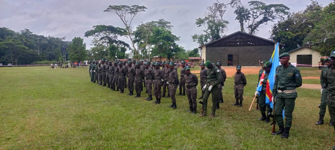 Ituri : un écogarde tué lors d'une attaque des ADF contre la Réserve de faune à okapis