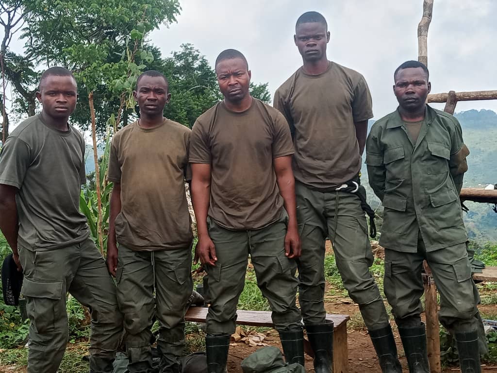 Nord-Kivu : cinq combattants de l’AFC-M23 se rendent aux services de sécurité à Lubero